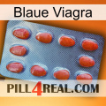 Blaue Viagra 06